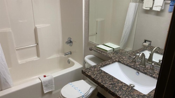 Microtel Inn & Suites by Wyndham Ardmore image 20